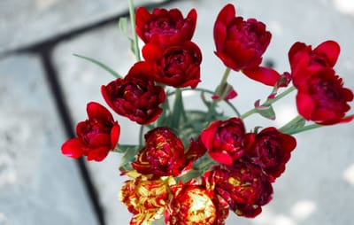 صبحية مع الرب