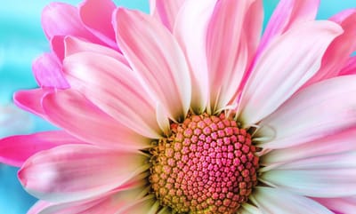 صبحية مع الرب