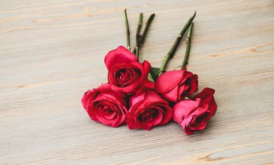 صبحية مع الرب