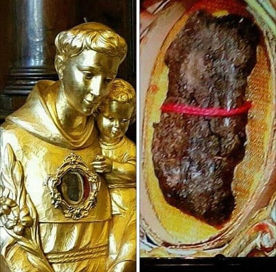 ما قصّة لسان القدّيس مار أنطونيوس البدواني ؟ مع الشمّاس موريس خوري