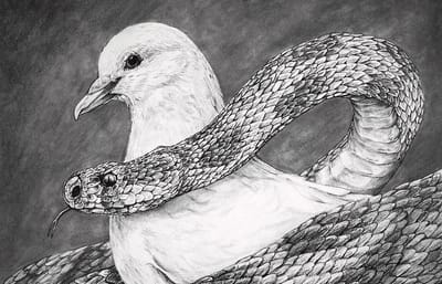 "فَكُونُوا حُكَمَاءَ كَالحَيَّات، ووُدَعَاءَ كَالحَمَام"