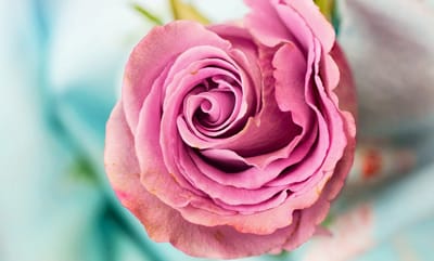 صبحية مع الرب