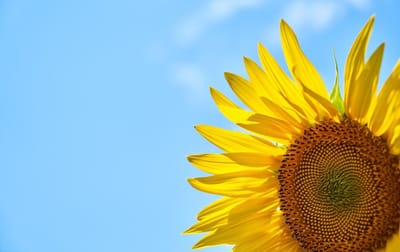 صبحية مع الرب