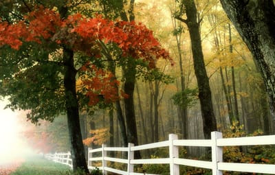 صبحية مع الرب