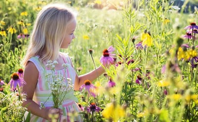صبحية مع الرب - عيد التجلّي