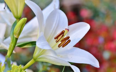 صبحية مع الرب