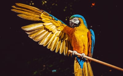 صبحية مع الرب