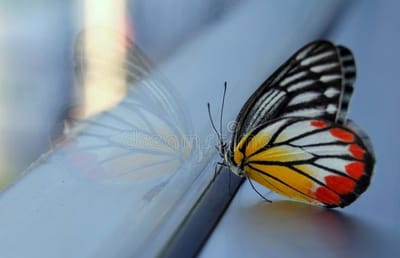 ملايين الكيلومترات