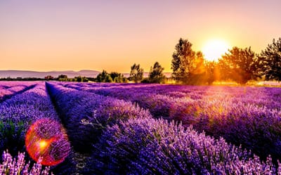 صبحية مع الرب