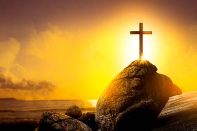 «مَنْ مِنْكُم يَقَعُ ٱبْنُهُ، أَوْ ثَوْرُهُ، في بِئْرٍ يَوْمَ السَّبْت، وَلا يُسَارِعُ فَيَنْتَشِلُهُ؟»