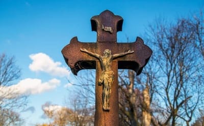 الحياة مبادلة