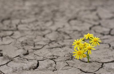 رسالتك مهمّة قوم فيها بمحبة