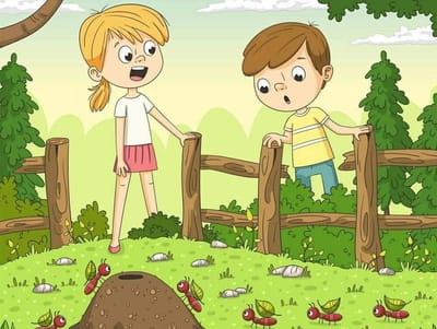 من ثمارهم تعرفونهم