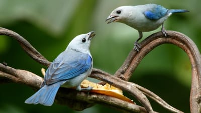 من نفس الموقع !