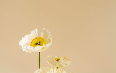 صبحية مع الرب