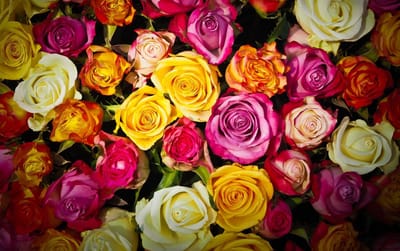 صبحية مع الرب