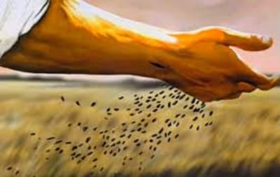 «يَأْتِي الشِّرِّيرُ ويَخْطَفُ مَا زُرِعَ في قَلْبِهِ»