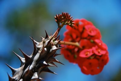 حقوقكن محفوظة فوق !