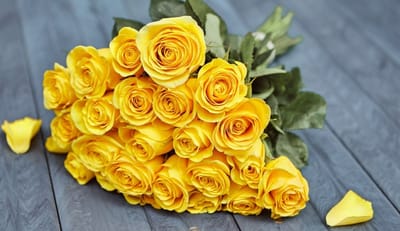 إنتو حلوين كيف ما كنتو!