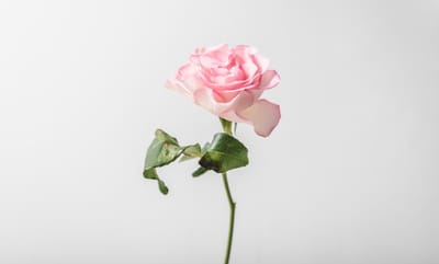 صبحية مع الرب