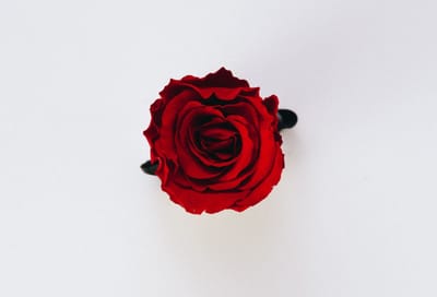 صبحية مع الرب