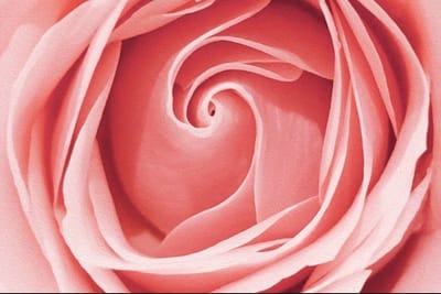 صبحية مع الرب