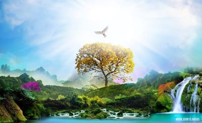 تراب الجنّة!