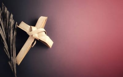 "لا يَحتاجُ الأصِحَّاءُ إلى طبـيبٍ، بَلِ المَرضى"