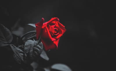 صبحية مع الرب