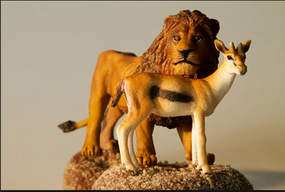 الضُعف والقوِّة