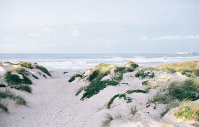 صبحية مع الربّ