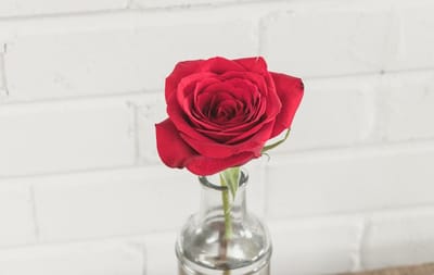 صبحيّة مع الربّ