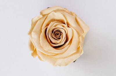 صبحية مع الربّ