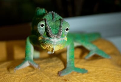 الحبّ أقوى من السنين