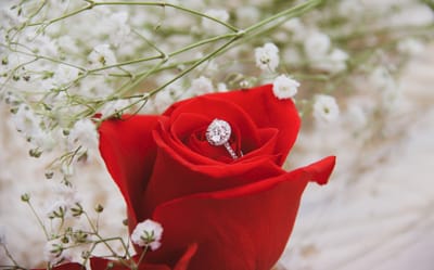 صبحية مع الربّ