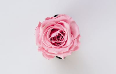 صبحية مع الربّ