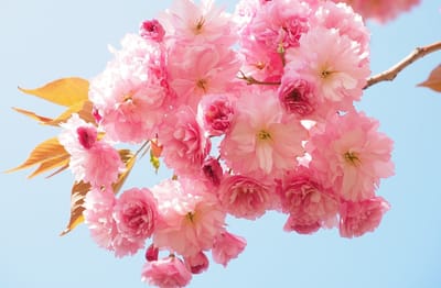 صبحية مع الربّ