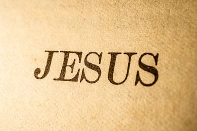 «إِنَّكُم أَفْضَلُ مِنْ عَصَافِيرَ كَثِيرَة»