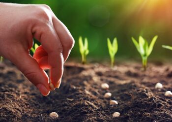 "وَوَقَعَ بَعْضُهُ الآخَرُ في الأَرْضِ الصَّالِحَة، وَنَبَتَ فَأَثْمَرَ مِئَةَ ضِعْف"