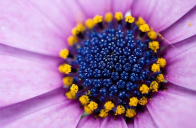 صبحية مع الربّ