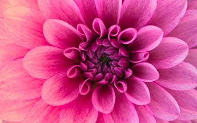 صبحية مع الربّ