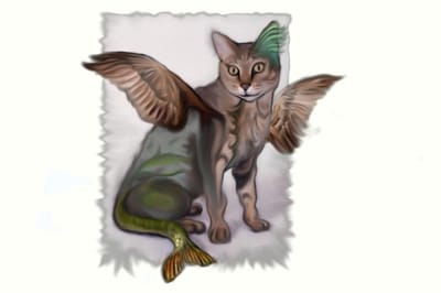 بيعرف حاجاتنا