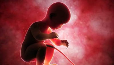 كيف تبدأ حياةُ كلّ إنسانٍ مخلوقٍ على الأرض ؟