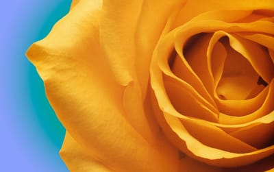 صبحية مع الربّ