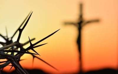 «وَبَارَكَ الرَّبُّ آخِرَةَ أَيُّوبَ أَكْثَرَ مِنْ أُولاَهُ»