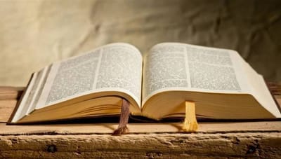 إنجيل يوم ١٤ تمّوز ٢٠٢٠