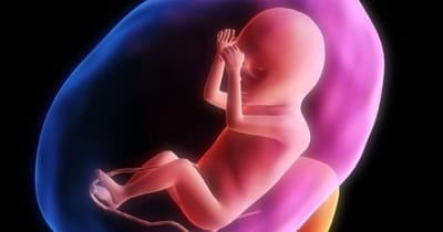 مسكّر دينَيْه