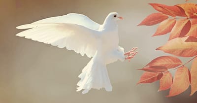 وهَا أَنَا ٱلآنَ أَسِيرٌ بِٱلرُّوح