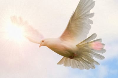 هل يوجد من لم يجدّف على الروح القدس؟