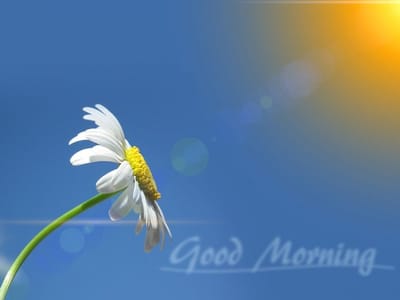 صبحية مع الرب